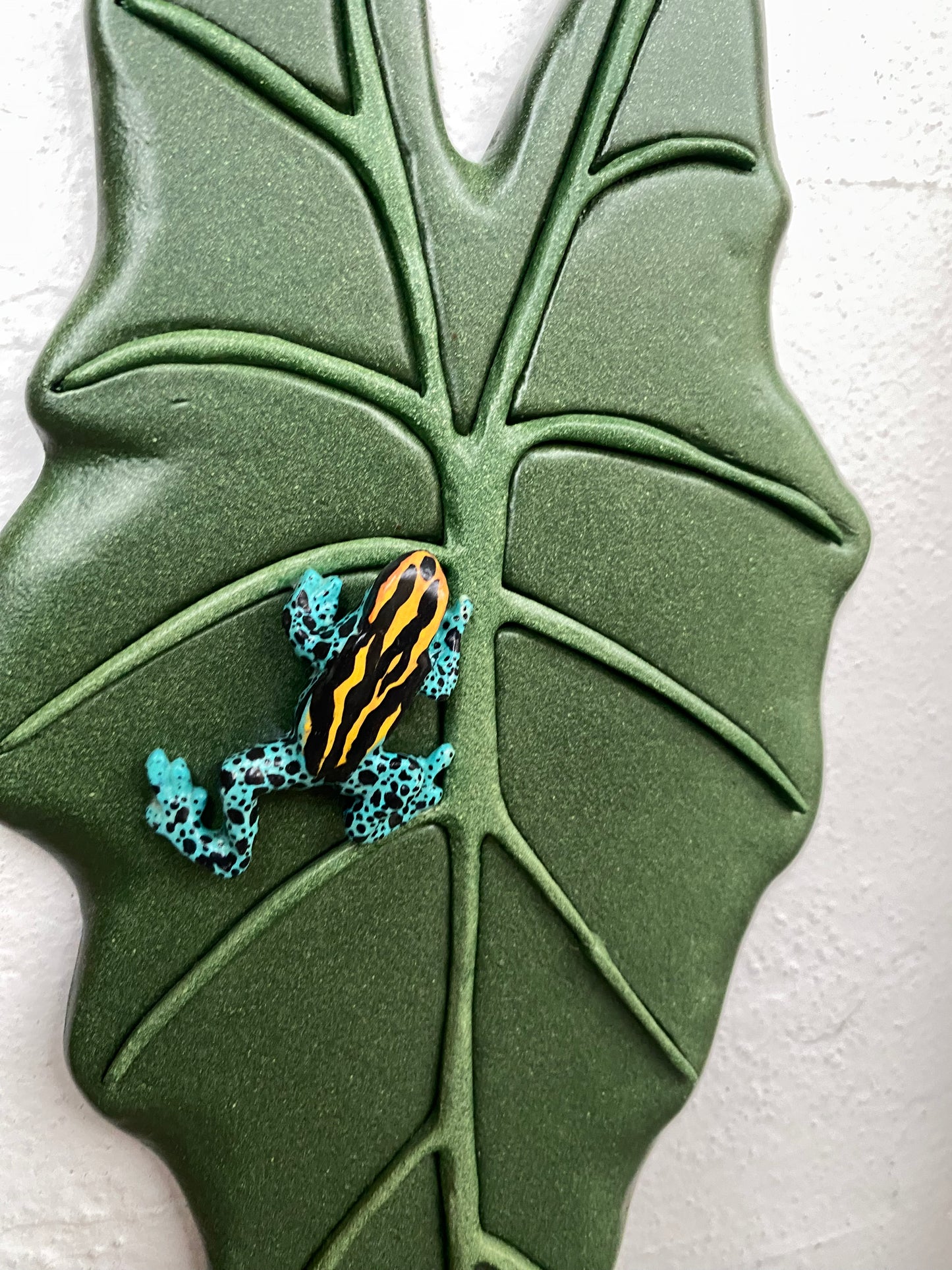 Poison Dart Frog Aqua/Orange