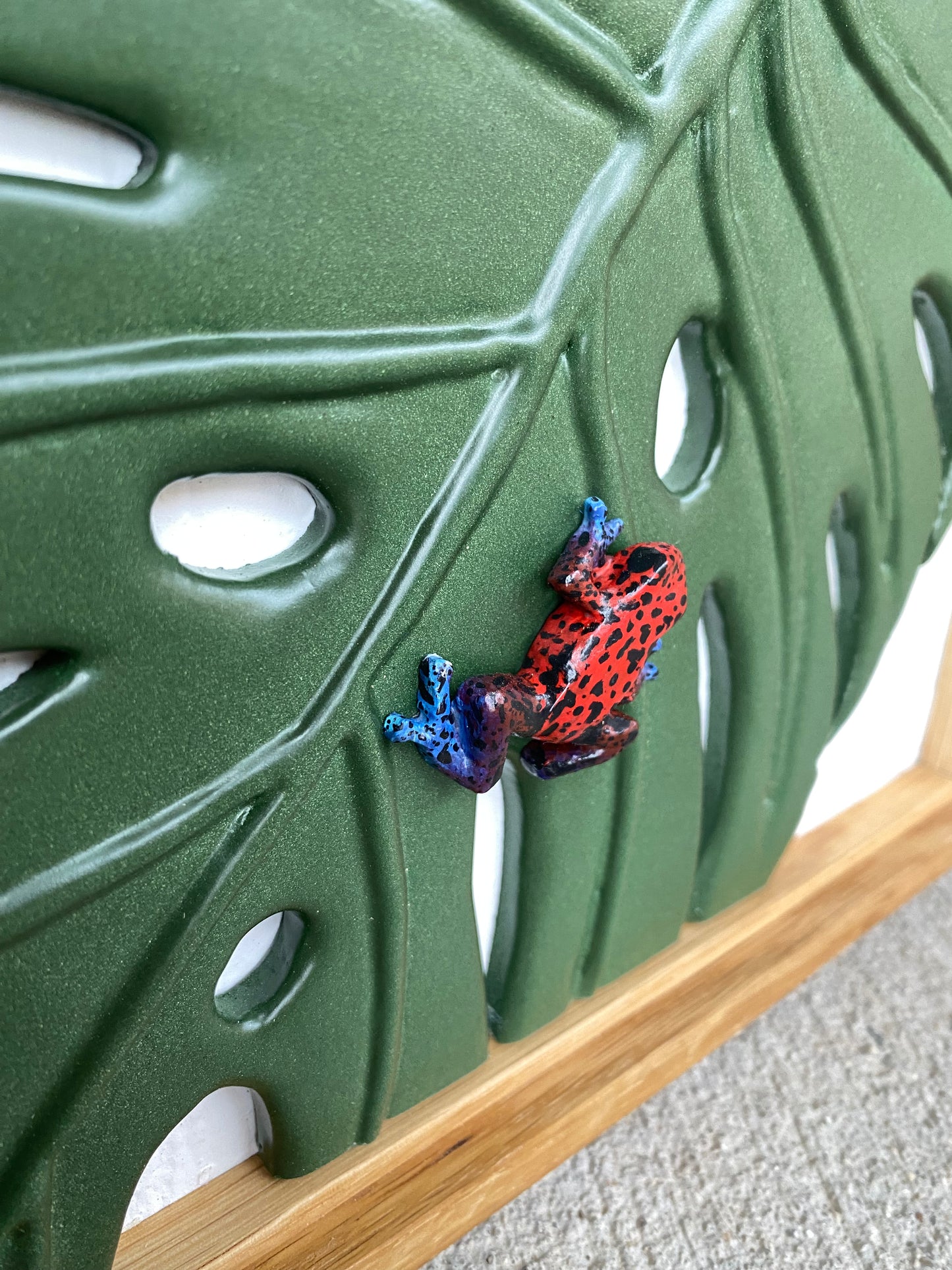 Poison Dart Frog Deep Blue/Red