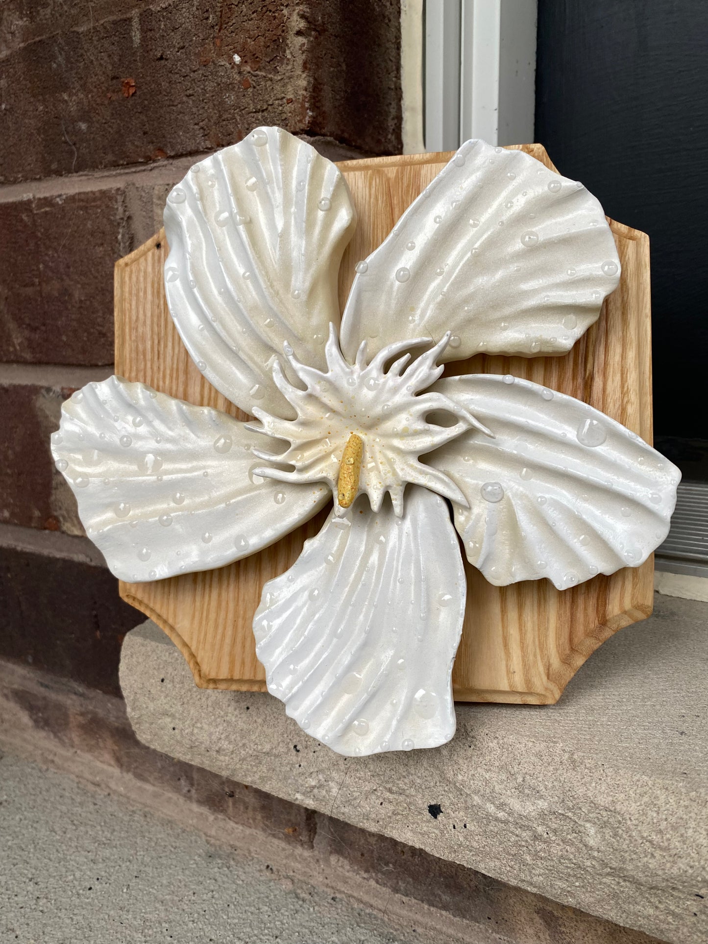 Enigmatic Oleander
