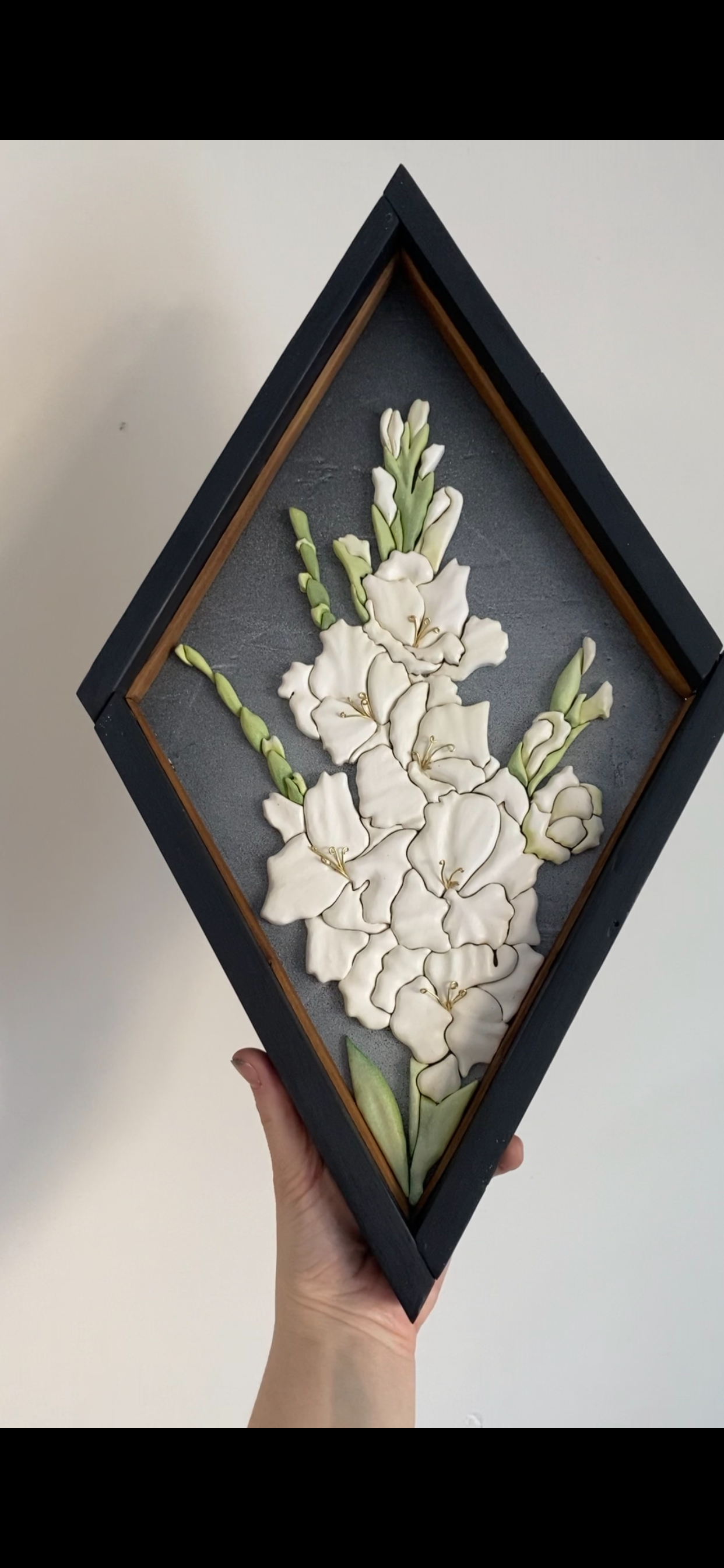 Gladiolus "Innocense"