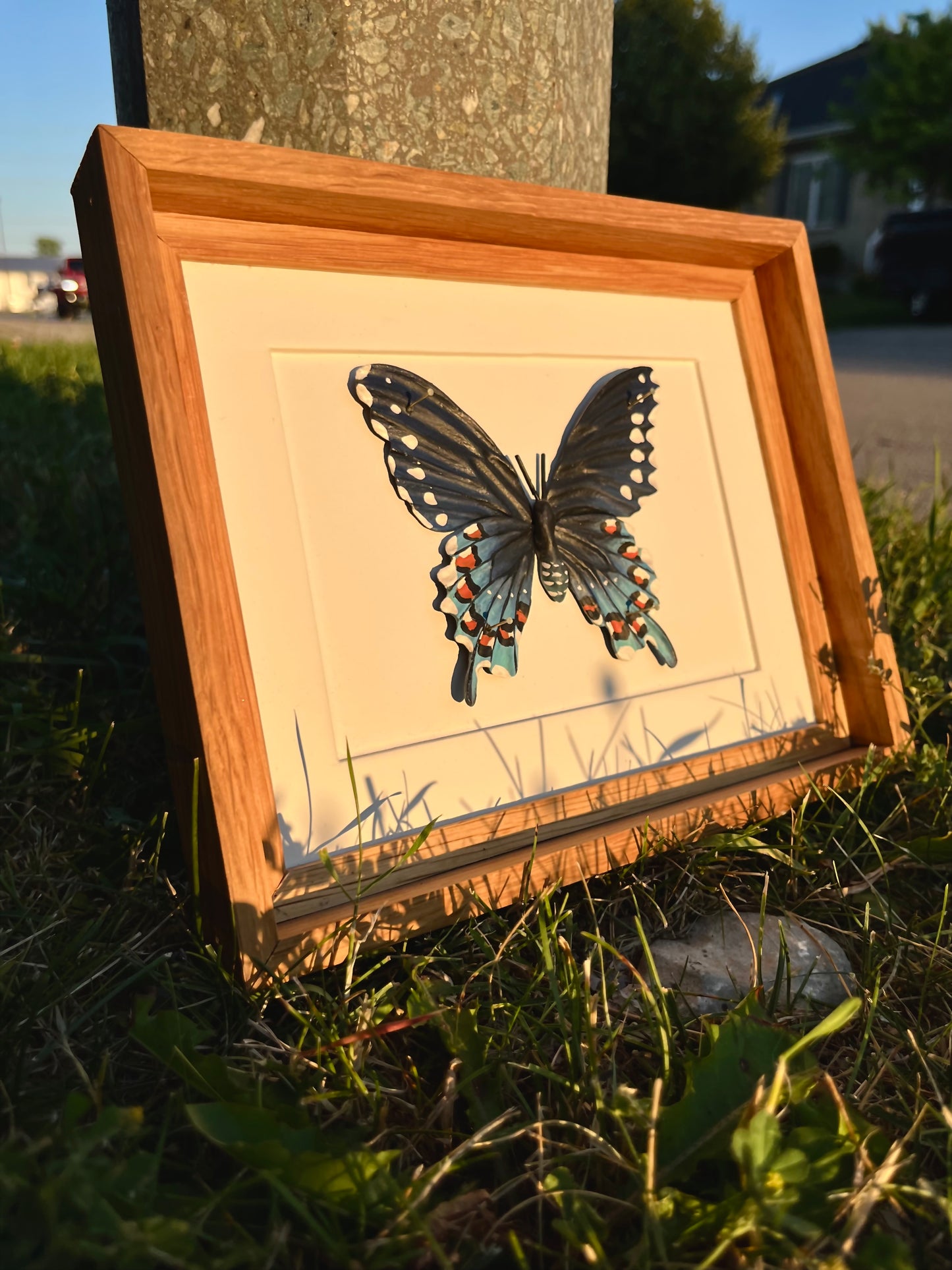 Put that in your Pipe & Swallow it-The Pipevine Swallowtail