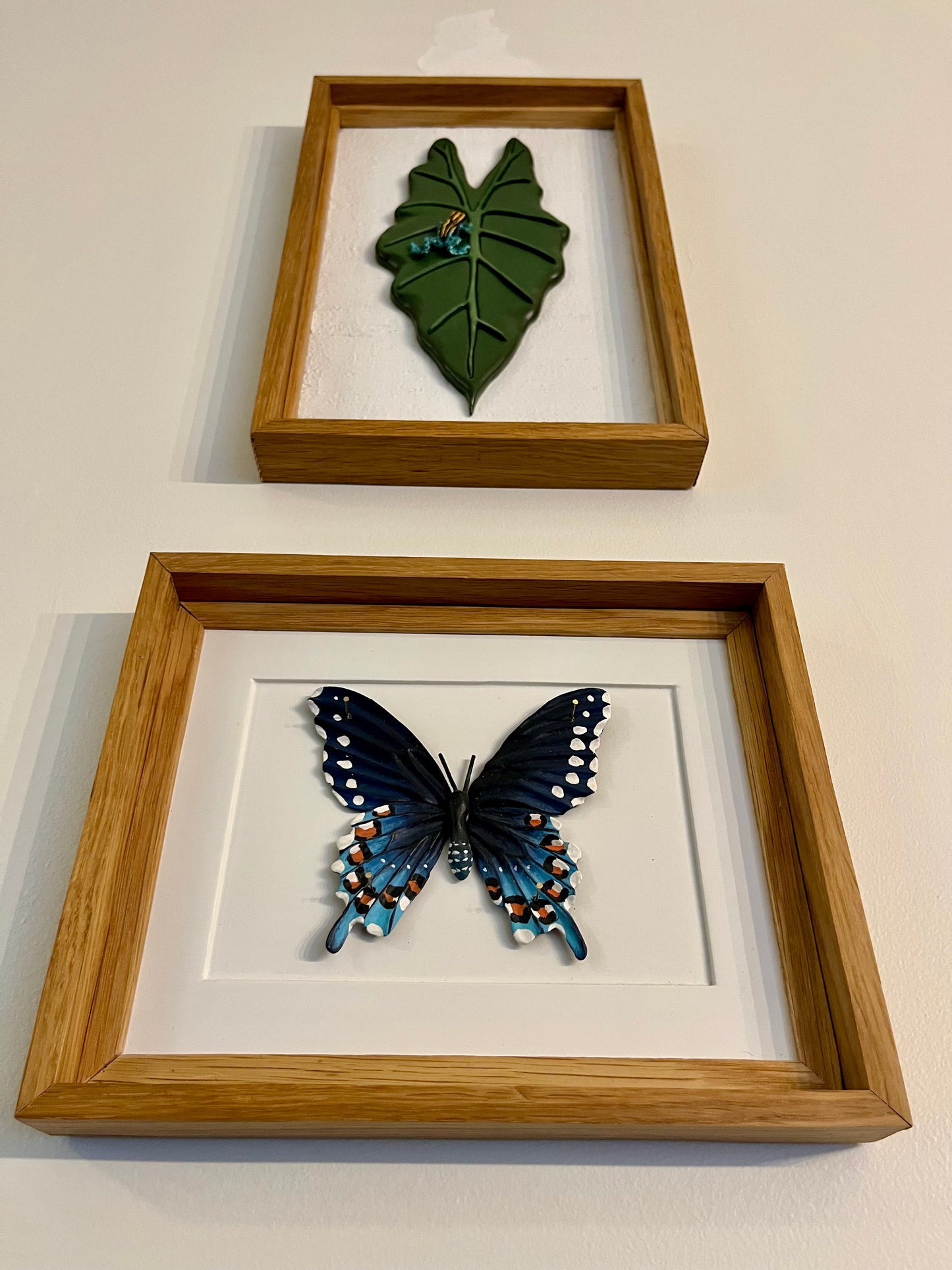 Put that in your Pipe & Swallow it-The Pipevine Swallowtail