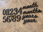 Baby Milestone photo props